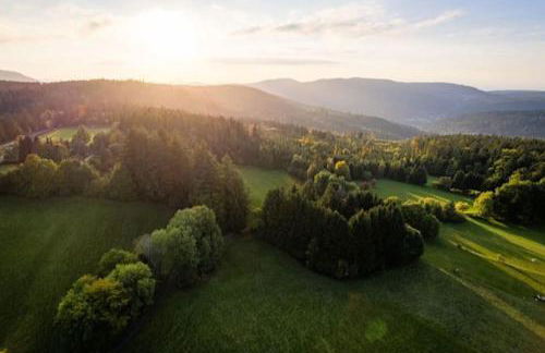 Gemütliches Apartment am Kurhaus in Dobel - Foto 21