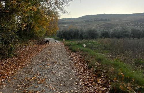 Lovely 10-bed Villa With Private Pool & Garden - Foto 83