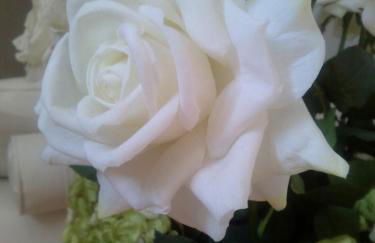 Appartamento in Villa - Foto 8