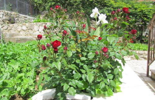 Apartment Ana - Foto 44