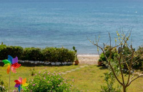 Όνειρο Dream - Foto 23