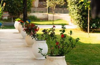 Nas Mar & Twins - Aristea - Foto 29