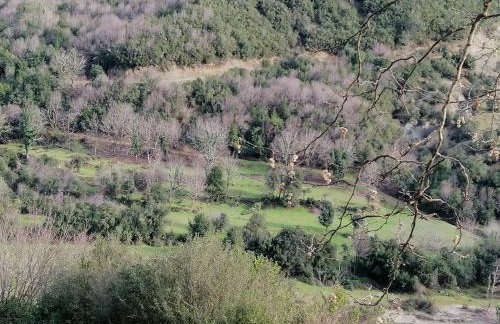 Ktimata Evdoxia - Foto 21