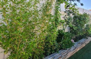 Magnifique villa à 15mn des plages - Foto 12