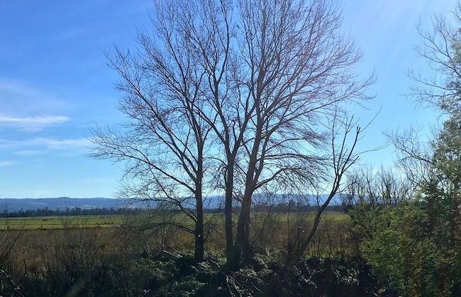 Abington Farm - Foto 42