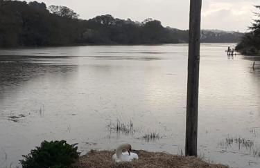 The Old Salt Store, 2 bed apartment with stunning river view - Photo 27