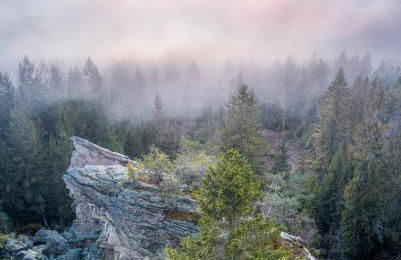 Birkholmhof - Foto 75