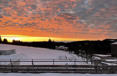 Ferienwohnung Penthouse Feldberg - Photo 23
