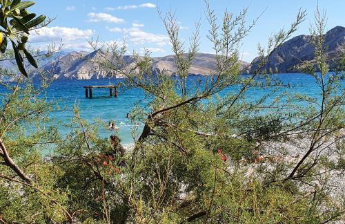 Apartments Mirica 2 - Foto 21