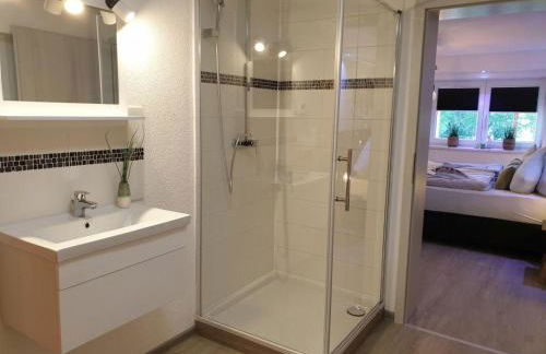 Eifel Dream Krausbuche - Foto 6