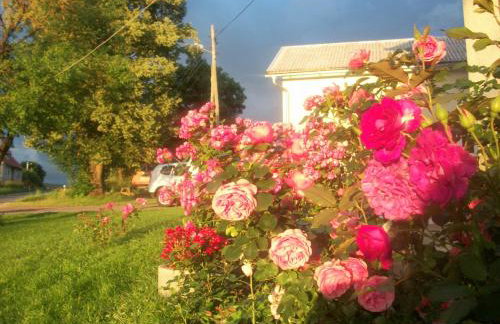 House Veljko - Foto 19