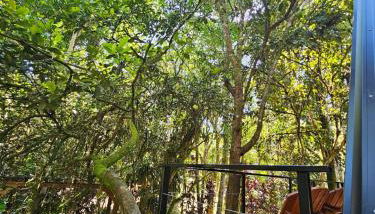 Um chalé e um riacho no meio da natureza - Foto 4