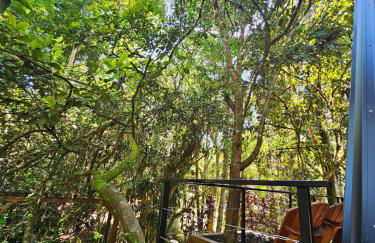 Um chalé e um riacho no meio da natureza - Foto 4