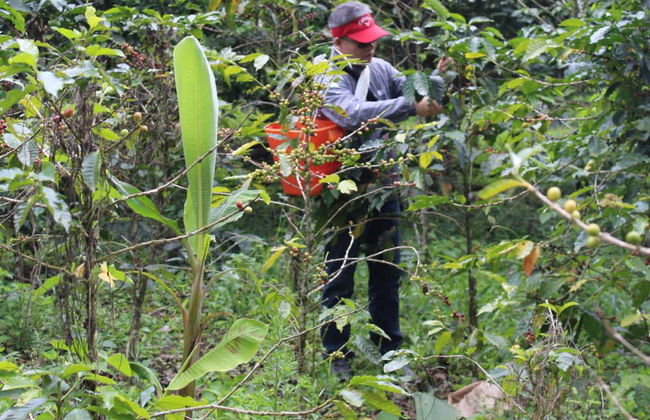 Bogota Private Day Trip - Foto 4