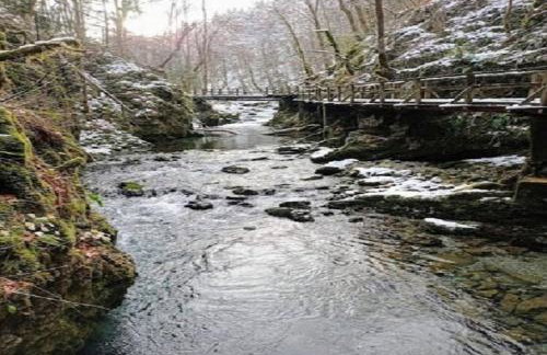 Holiday Home in Bunjevci with Sauna & Garden - Foto 95