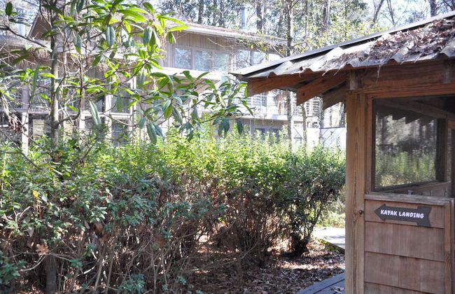 Little River Bluffs - Photo 51