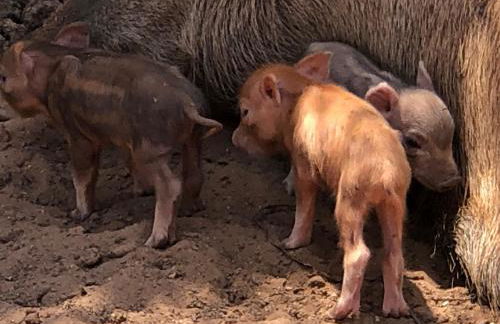 Fishers Of Men Ranch Home - Photo 67