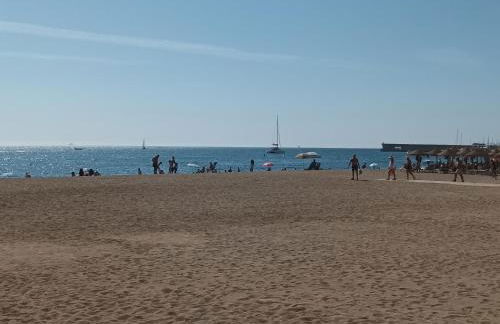 NEW MARITIMO - Photo 50