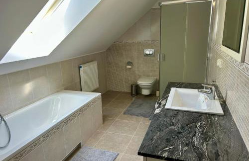 Villa Otolice obok Łowicza, 6 sypialni, balia, sauna, basen, snooker, 50 minut od Warszawy i Łodzi - Foto 29