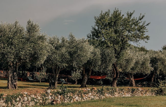 Talici Hill - Rustic Villas - Foto 52