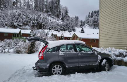 Le Repaire du Loup blanc - Foto 46