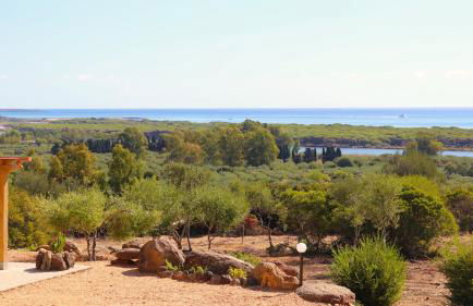 Country villa Sant' Elène- Appartamento Mirto - Foto 44