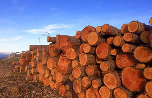 CASA MIFEL -- APP. GERANIO - Foto 19