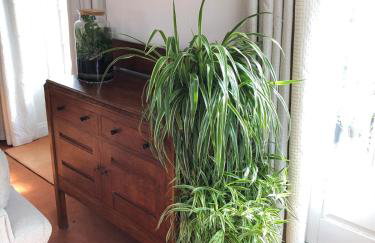 Kingfisher House - Sandwich - Foto 31