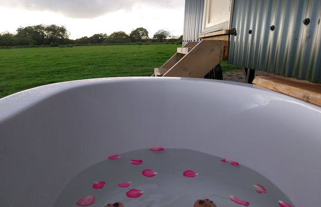 The Musterer's Hut, Outdoor Bath & Valley View - Foto 11