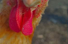 Altes Waschhaus - Foto 12