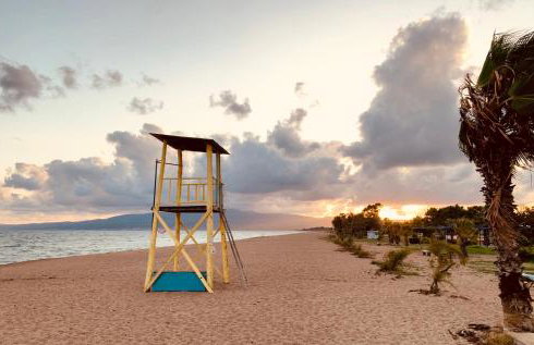 The Backyard - Foto 33