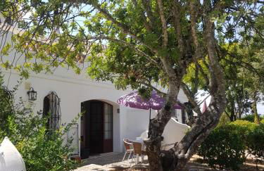 Monte-Bougainvillea - Foto 57