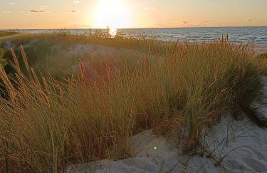 Domek Letniskowy Oktawin - Foto 16