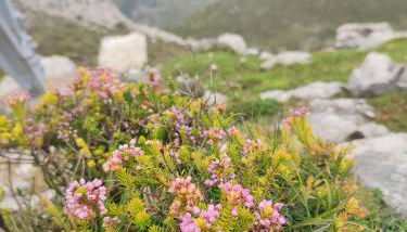 Casa Gina, espectacular alojamiento en plena naturaleza! - Foto 2