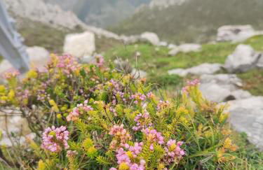 Casa Gina, espectacular alojamiento en plena naturaleza! - Foto 2