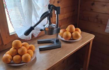 Chalet Aledia - Photo 2