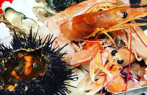 Agriturismo Casa Villi - Foto 11