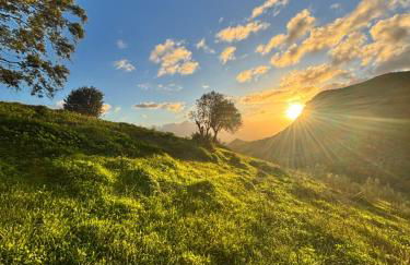 Mount Tatum - Foto 1