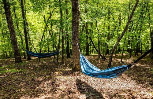 Luxe Family Cabin 8 min to Downtown Blue Ridge - Foto 34