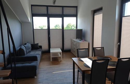 Apartamenty Kasztanowa Zator - Foto 50