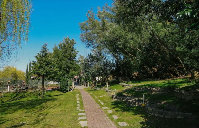 Quinta Dona Adelaide - Foto 32