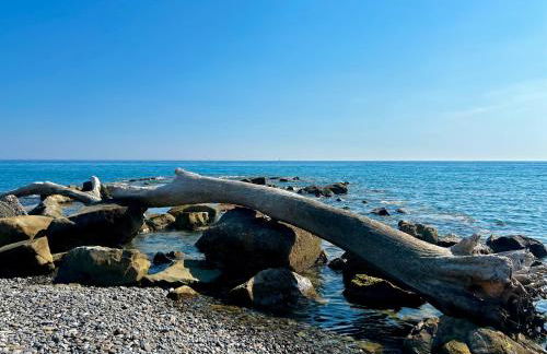 La luna sul mare - Photo 53