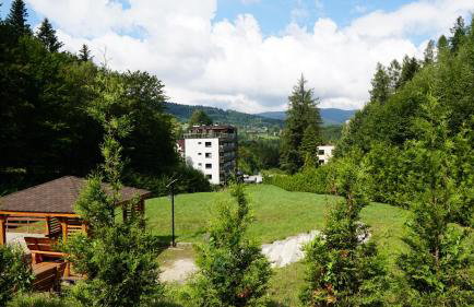 Czarodziejska Góra Kozubnik Daglezja - Foto 11