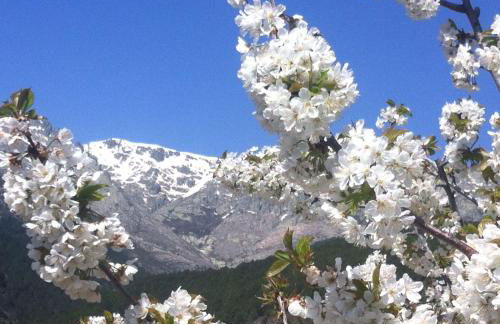 EL LLANO - El Hornillo, tu pueblo en la Sierra de Gredos. - Photo 51