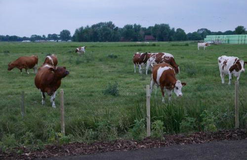 Villa Vind - Dänische Gemütlichkeit - Foto 22