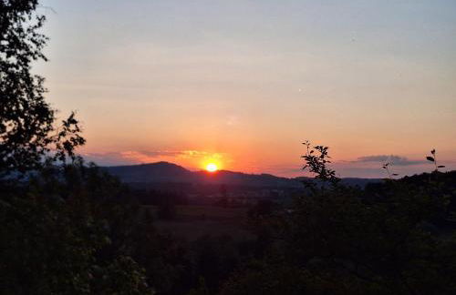 Gästehaus Luitz - Foto 55