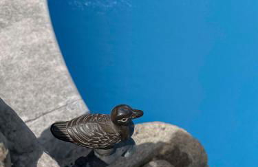 Casa Luis Pato - Foto 38