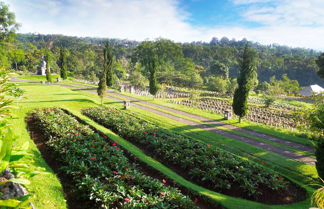 Bagus Agro Pelaga - Foto 71