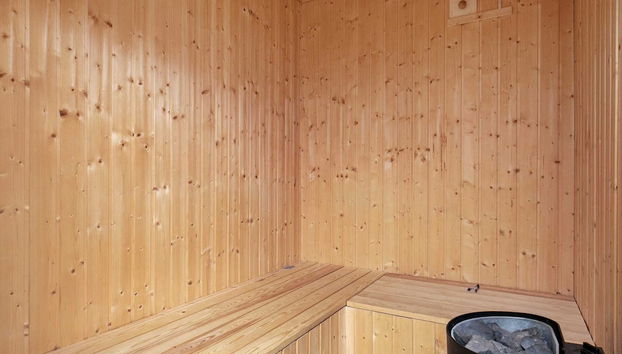 8 Person Holiday Home in Blavand - Foto 2, Sauna