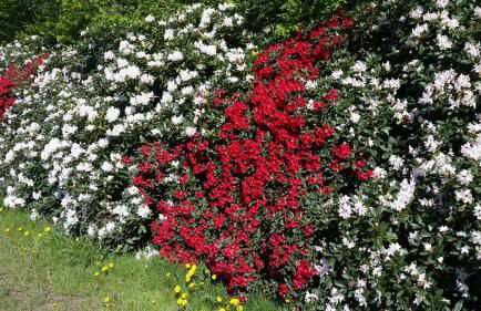 Ferienwohnung Kaminzimmer - Foto 3